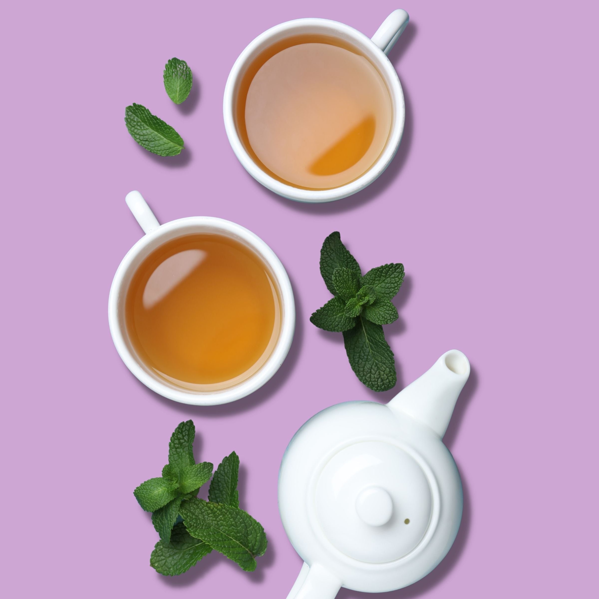 Himalayan Spearmint Tea - 30gms | Pahari Haat