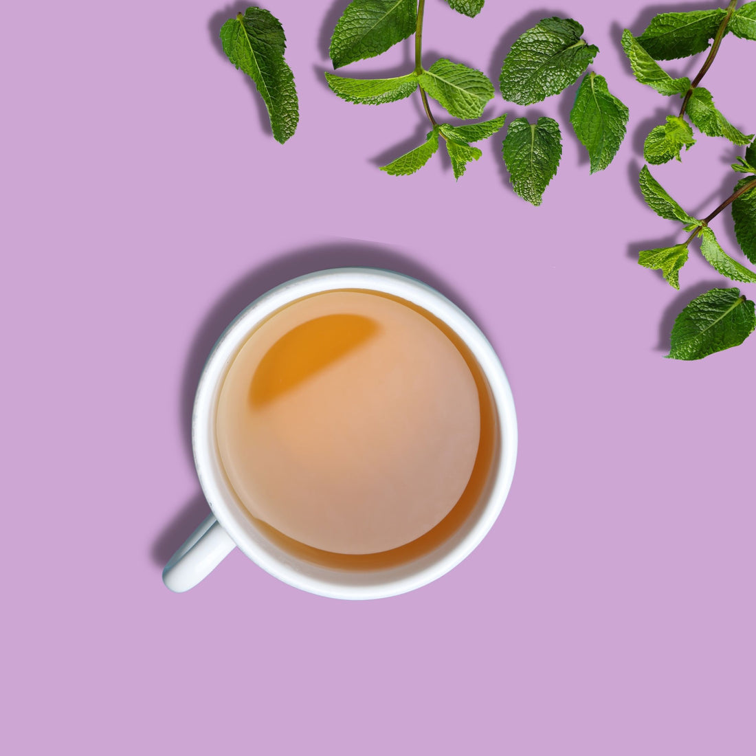 Discover the Best Spearmint Herbal Tea for Refreshing Moments - My Pahadi Dukan