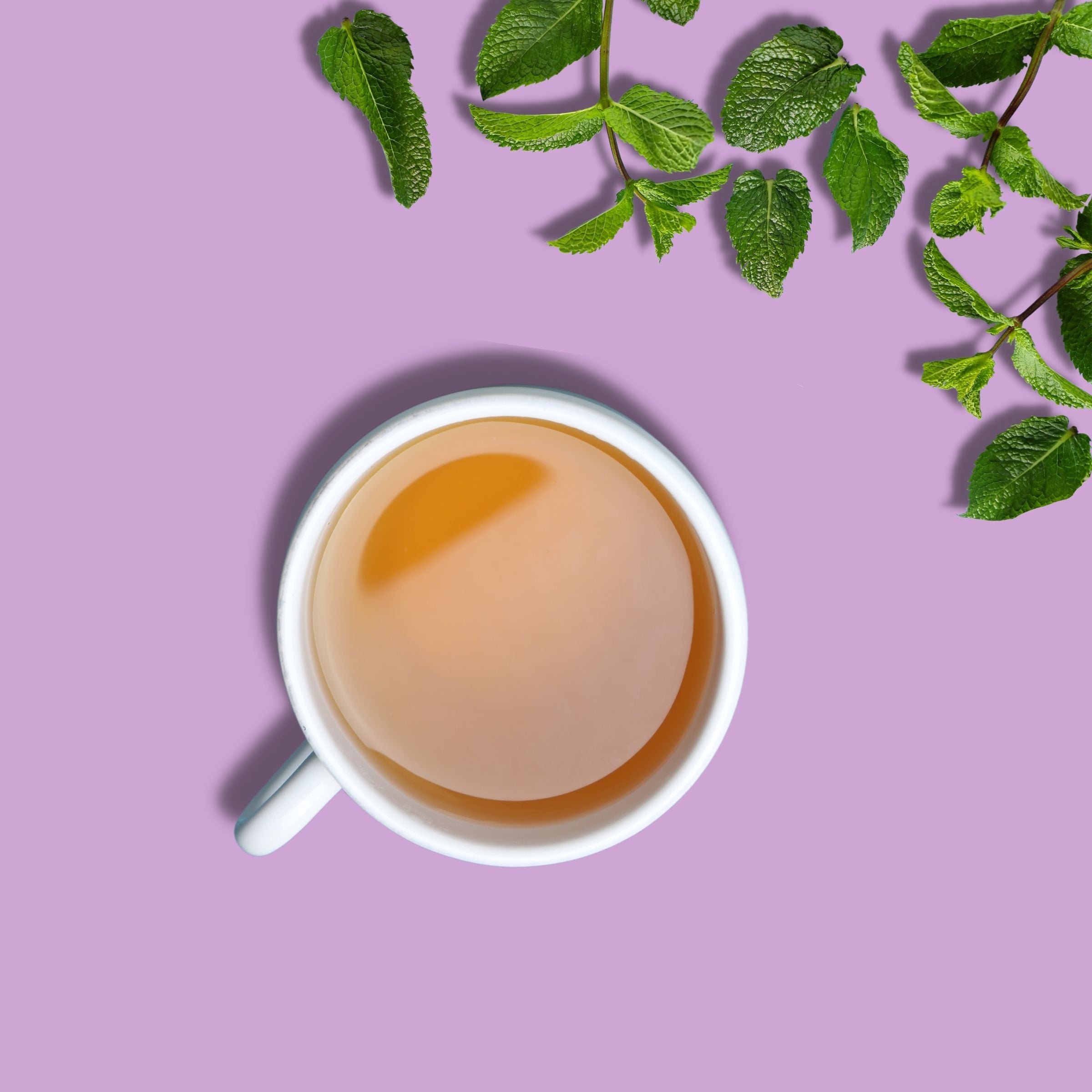 Discover the Best Spearmint Herbal Tea for Refreshing Moments - My Pahadi Dukan