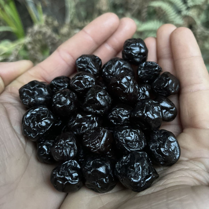 Dried Blueberry Plums Photo