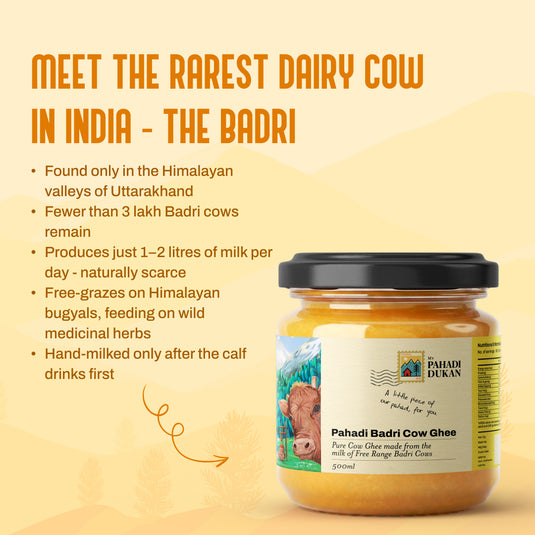 Pahadi Badri Cow Ghee