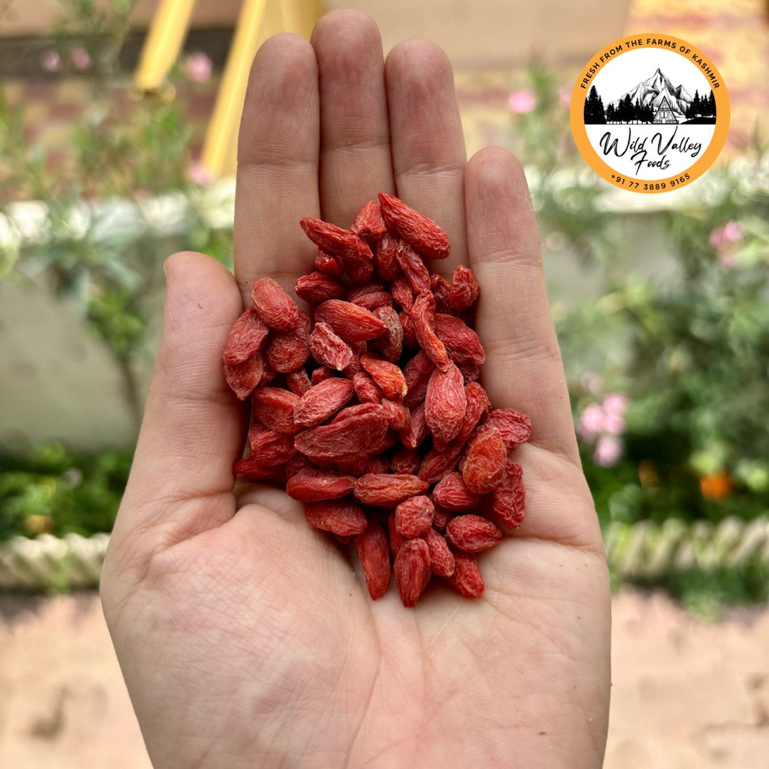 goji berries