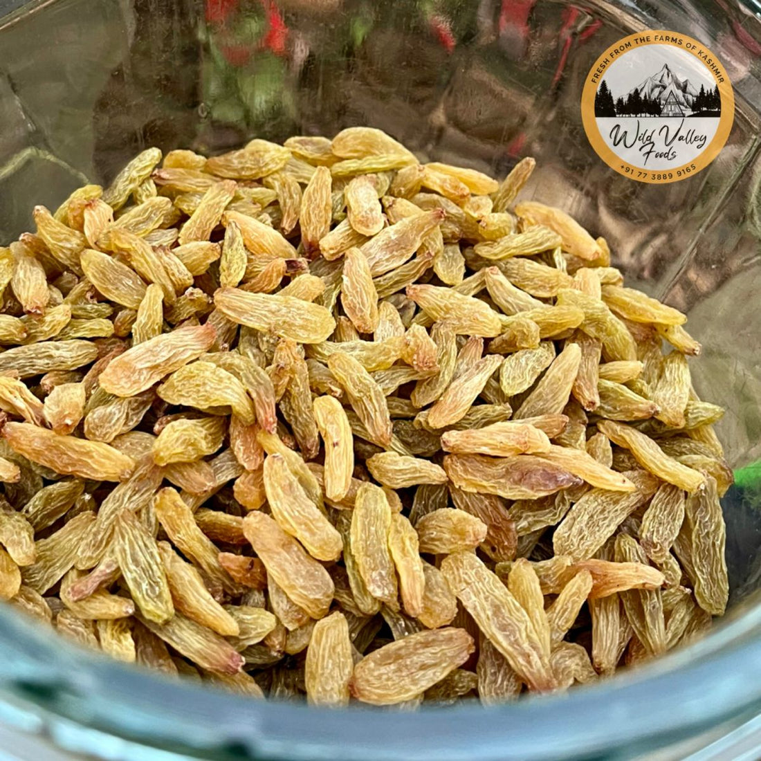 Buy Organic Golden Raisins Online | Dry Grapes | Kishmish Online | Wild Valley Foods