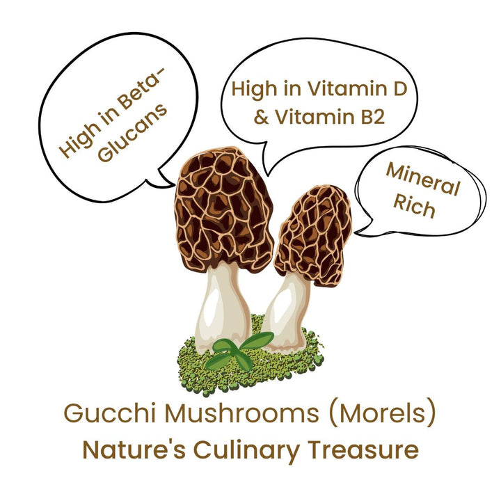 Buy Gucchi Mushroom Online | Morel Mushrooms Price | Morchella Esculenta  Nutrition