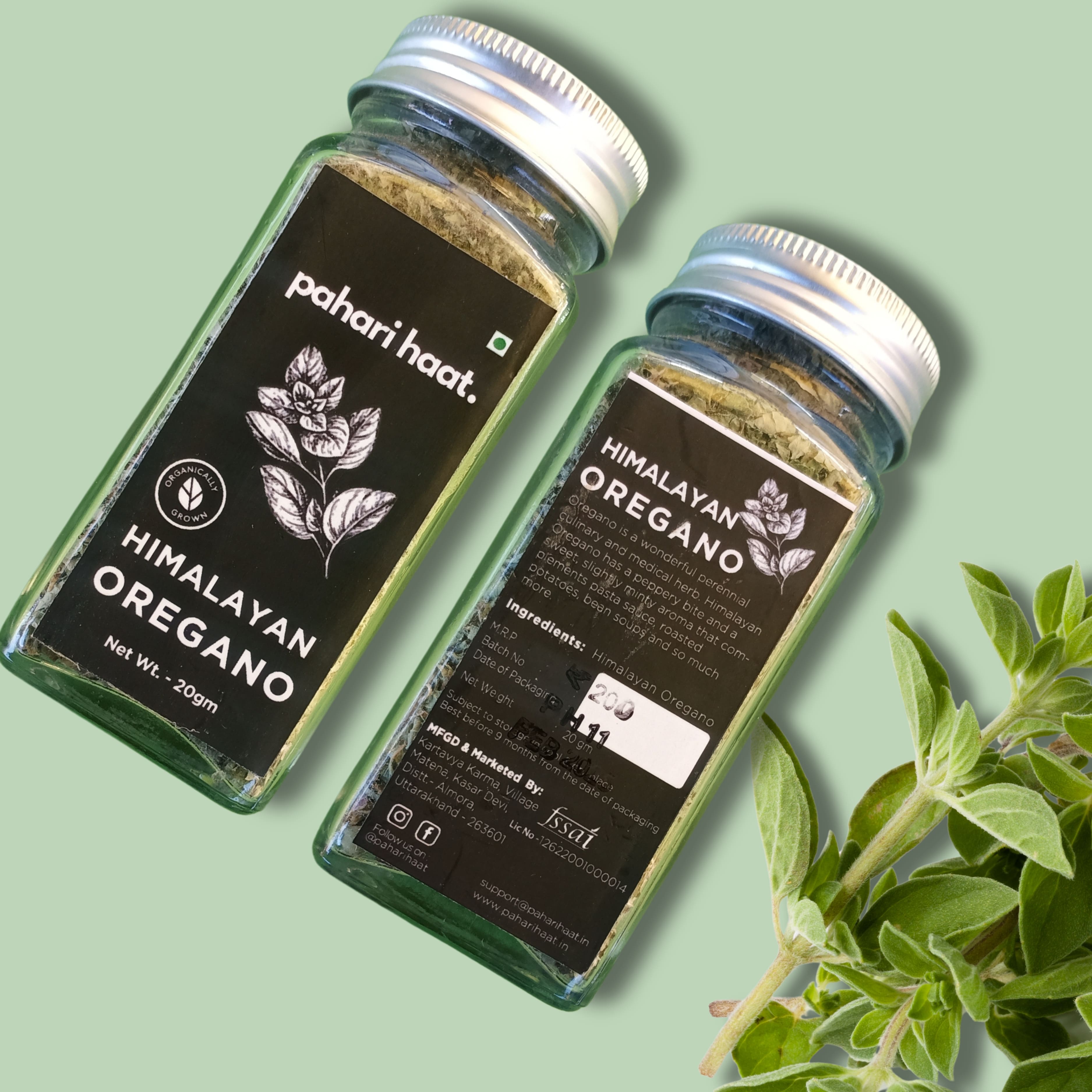 Himalayan Oregano - 20gms | Pahari Haat