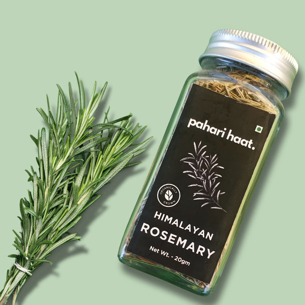 Rosemary herb