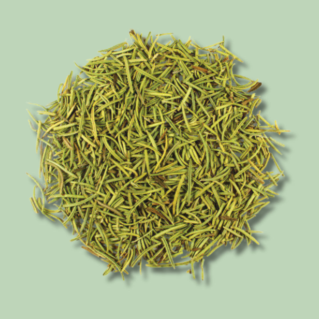 Rosemary herb