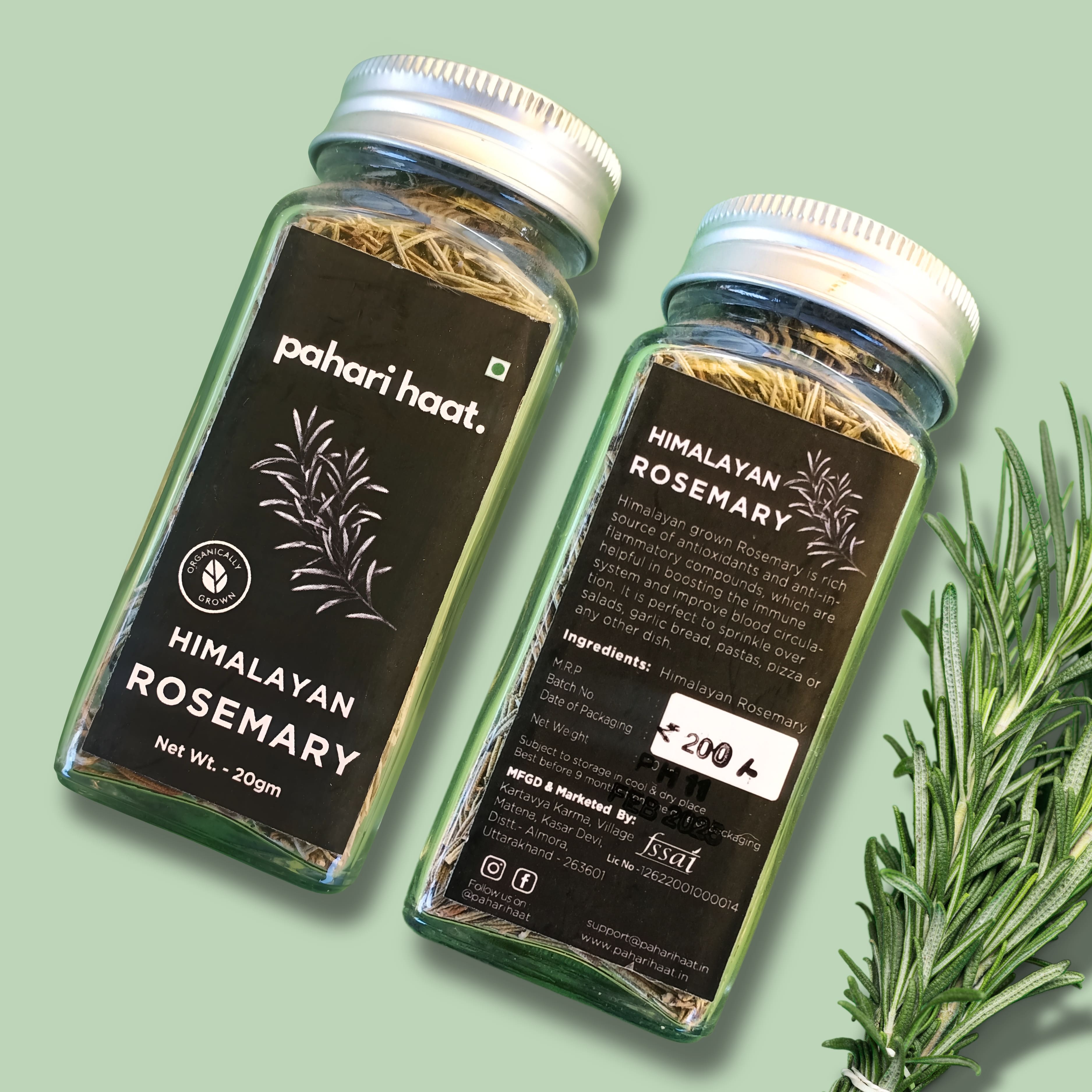 Himalayan Rosemary - 20gms | Pahari Haat