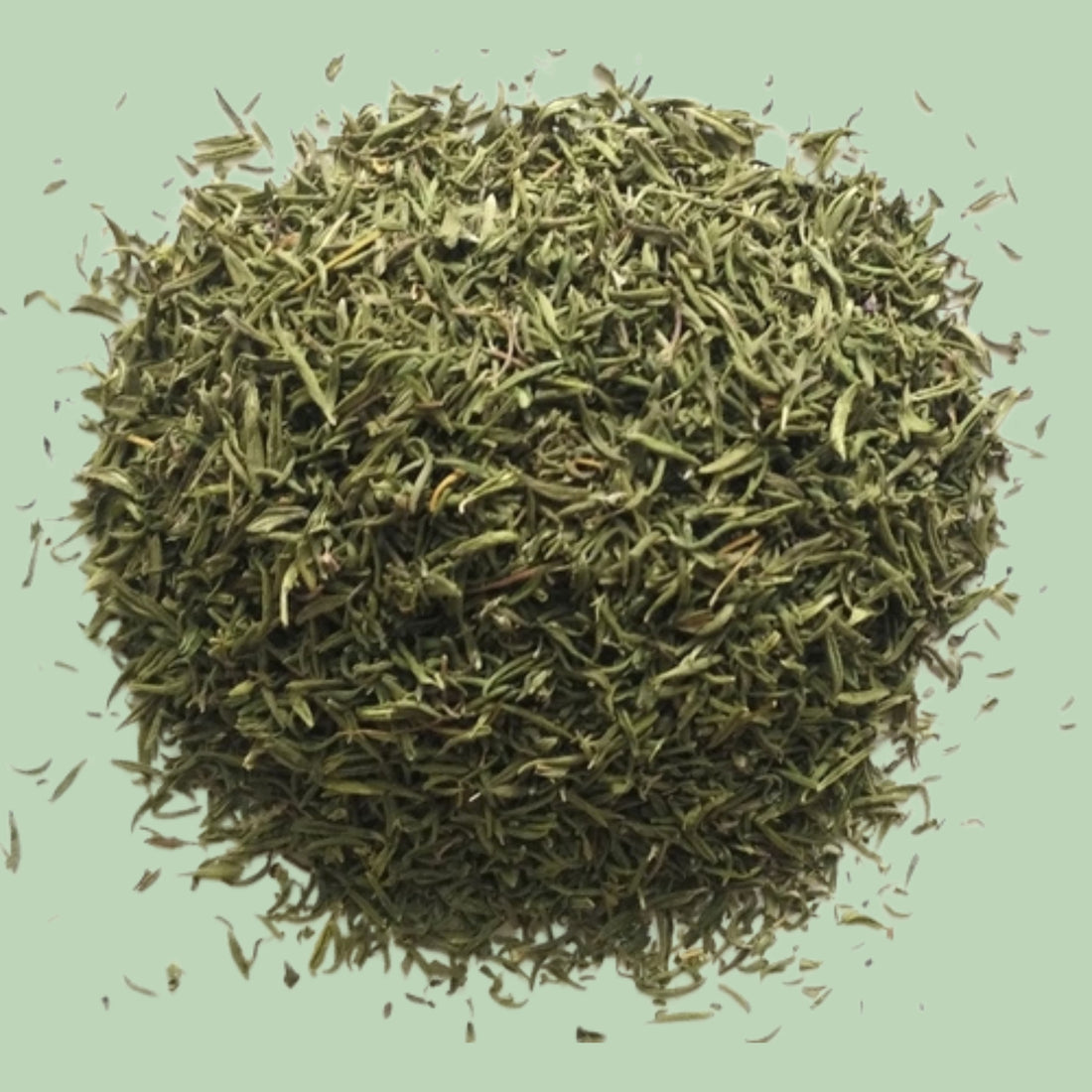 Himlayan Thyme