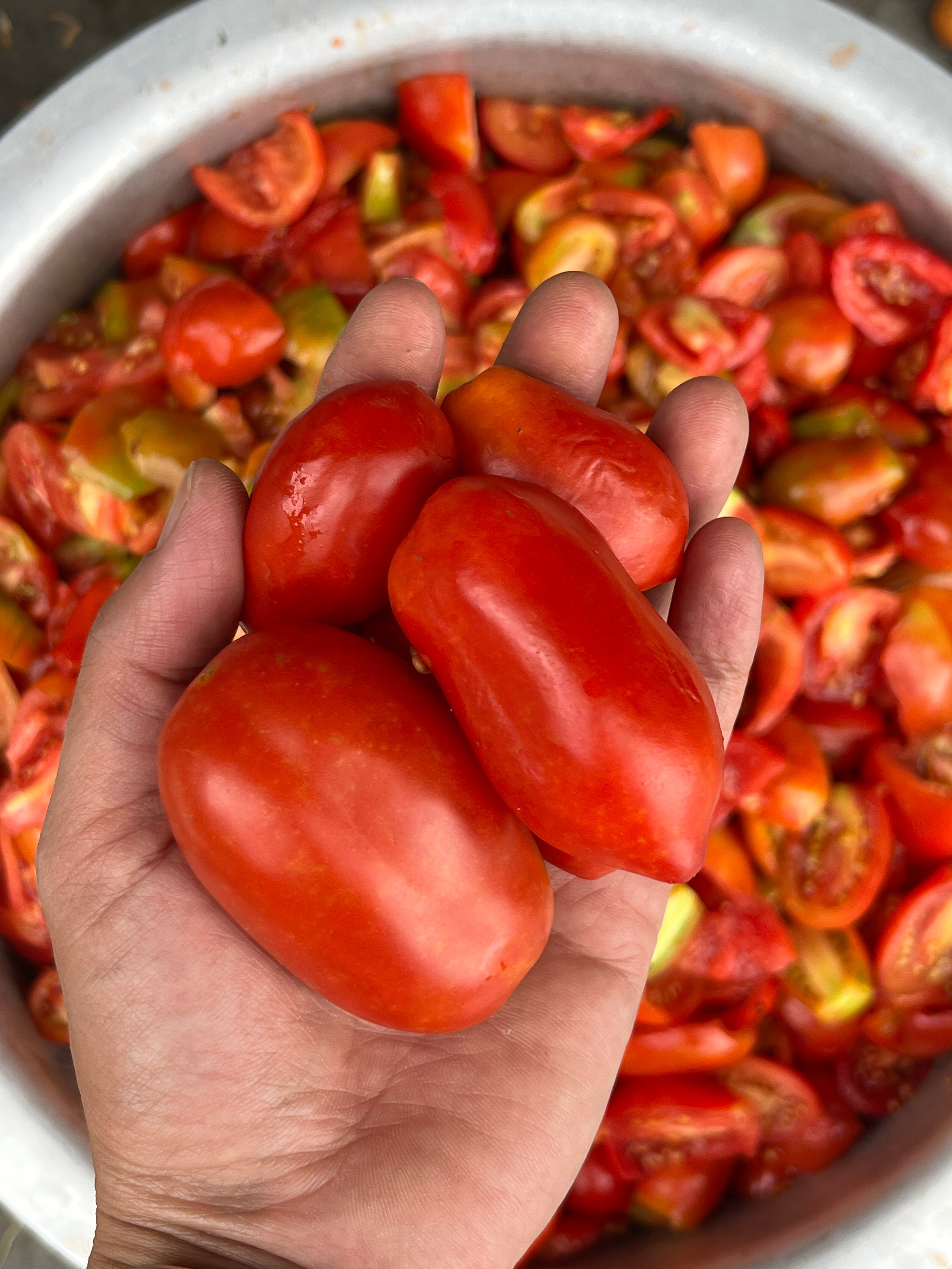 Tomato Basil Sauce With Garlic and Chia 340gms | Himalayan Haat