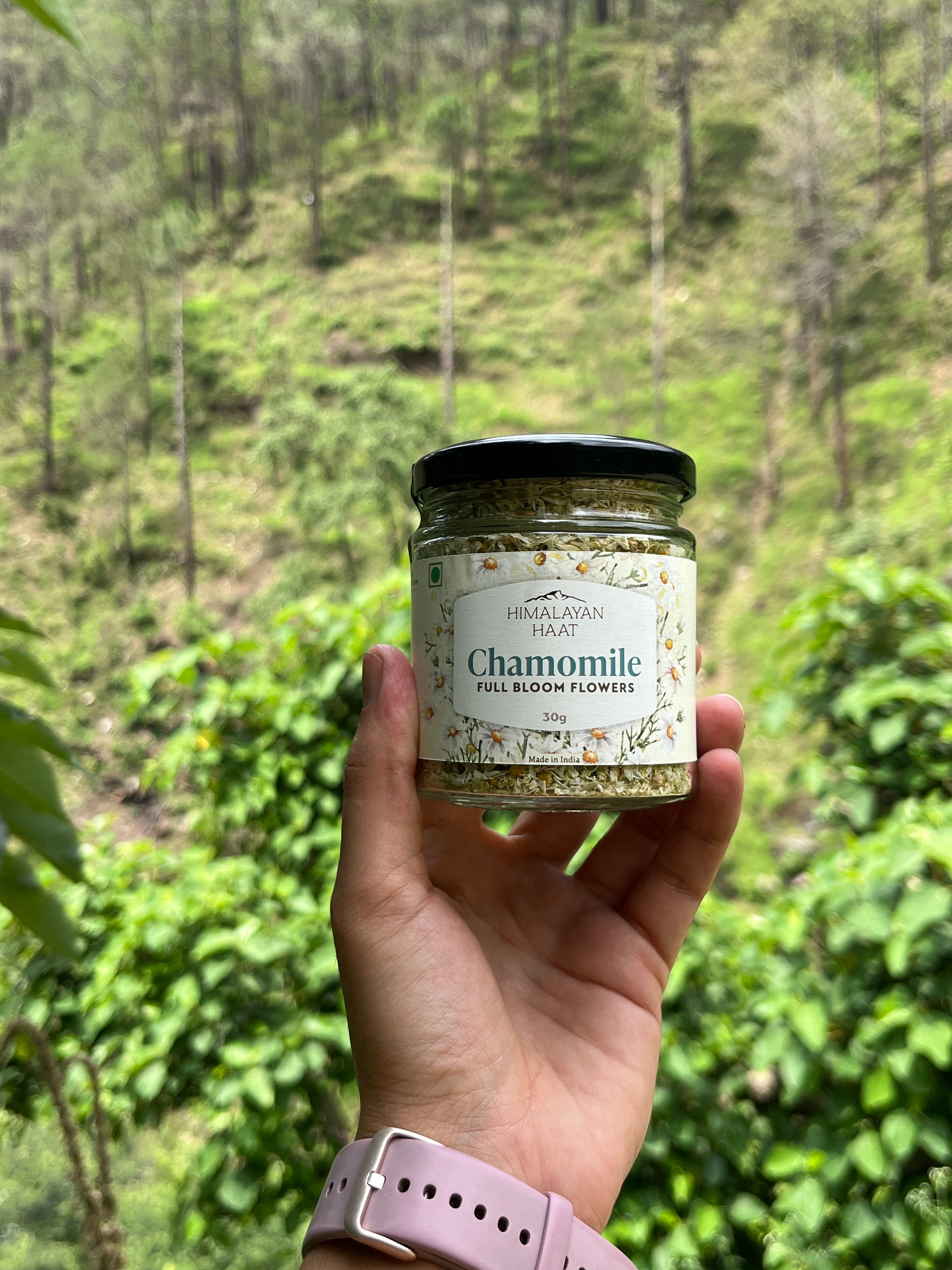 Full Bloom Chamomile Flowers 30gms | Himalayan Haat