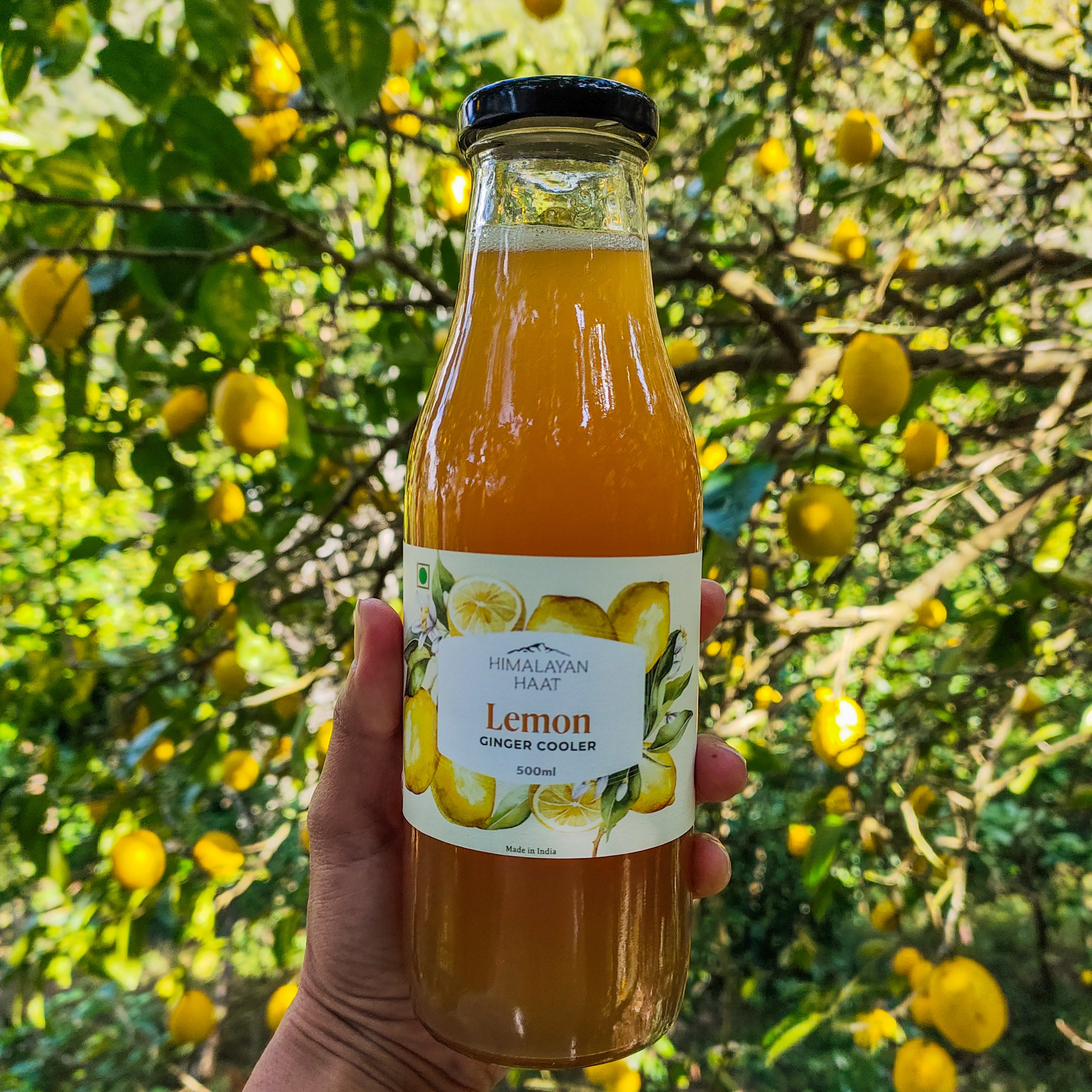 Lemon Ginger Cooler 500ml | Himalayan Haat