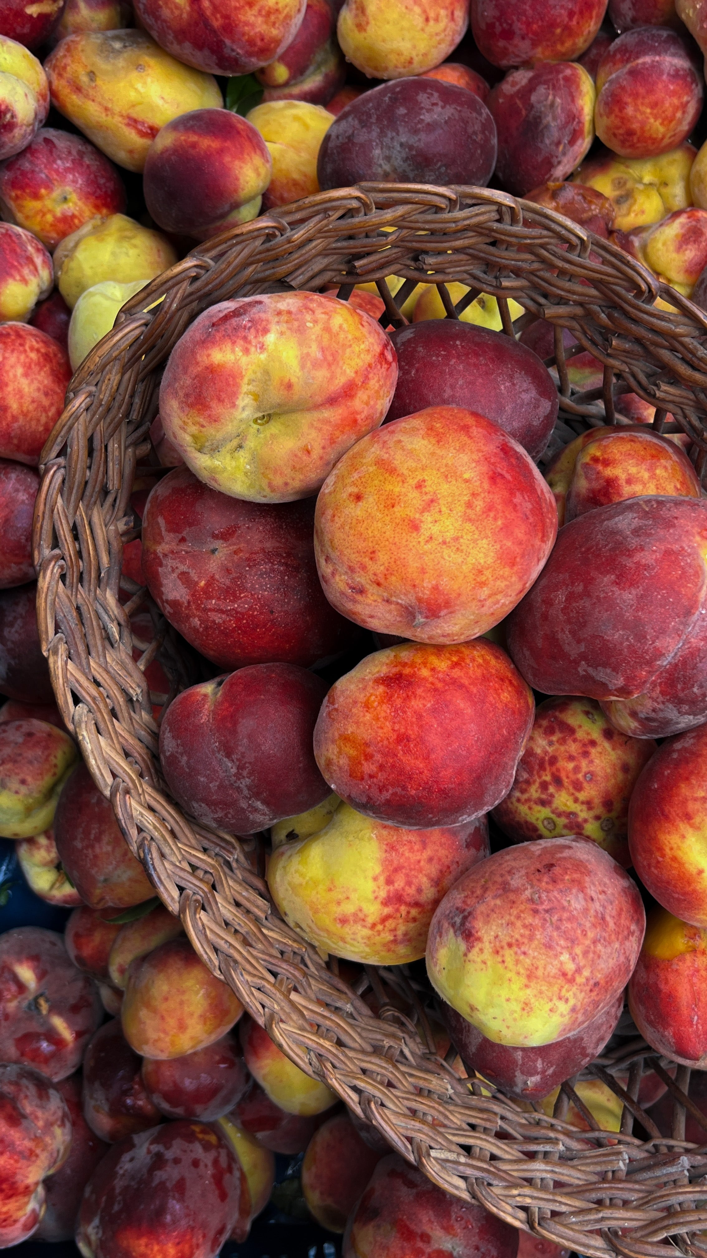 Peach Cooler - 500ml | Himalayan Haat