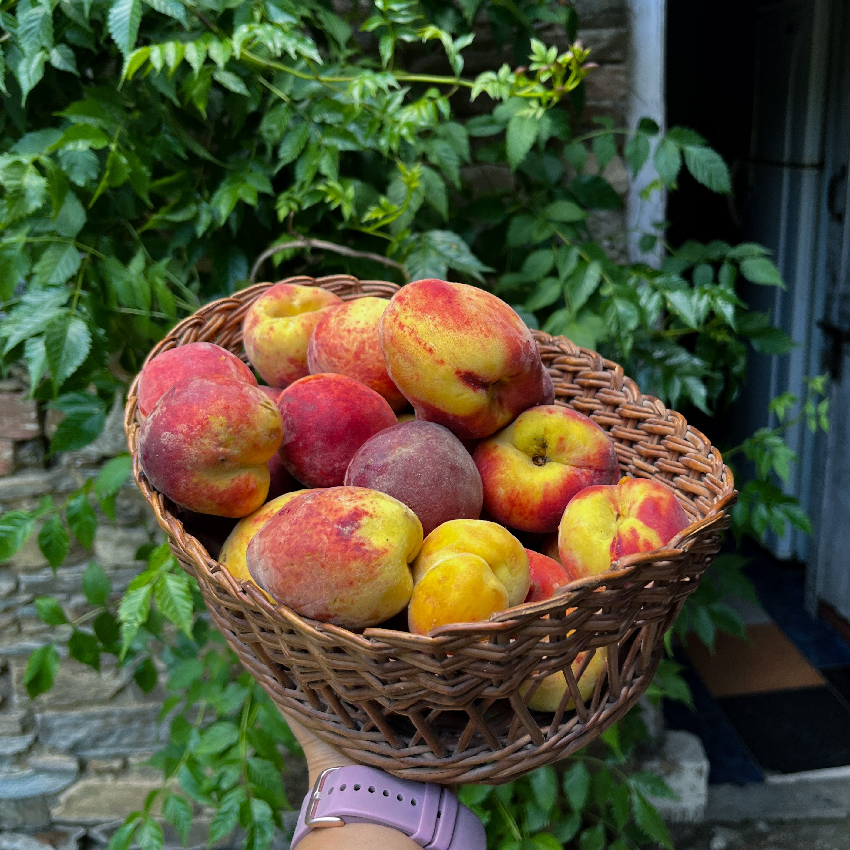 Peach Cooler - 500ml | Himalayan Haat
