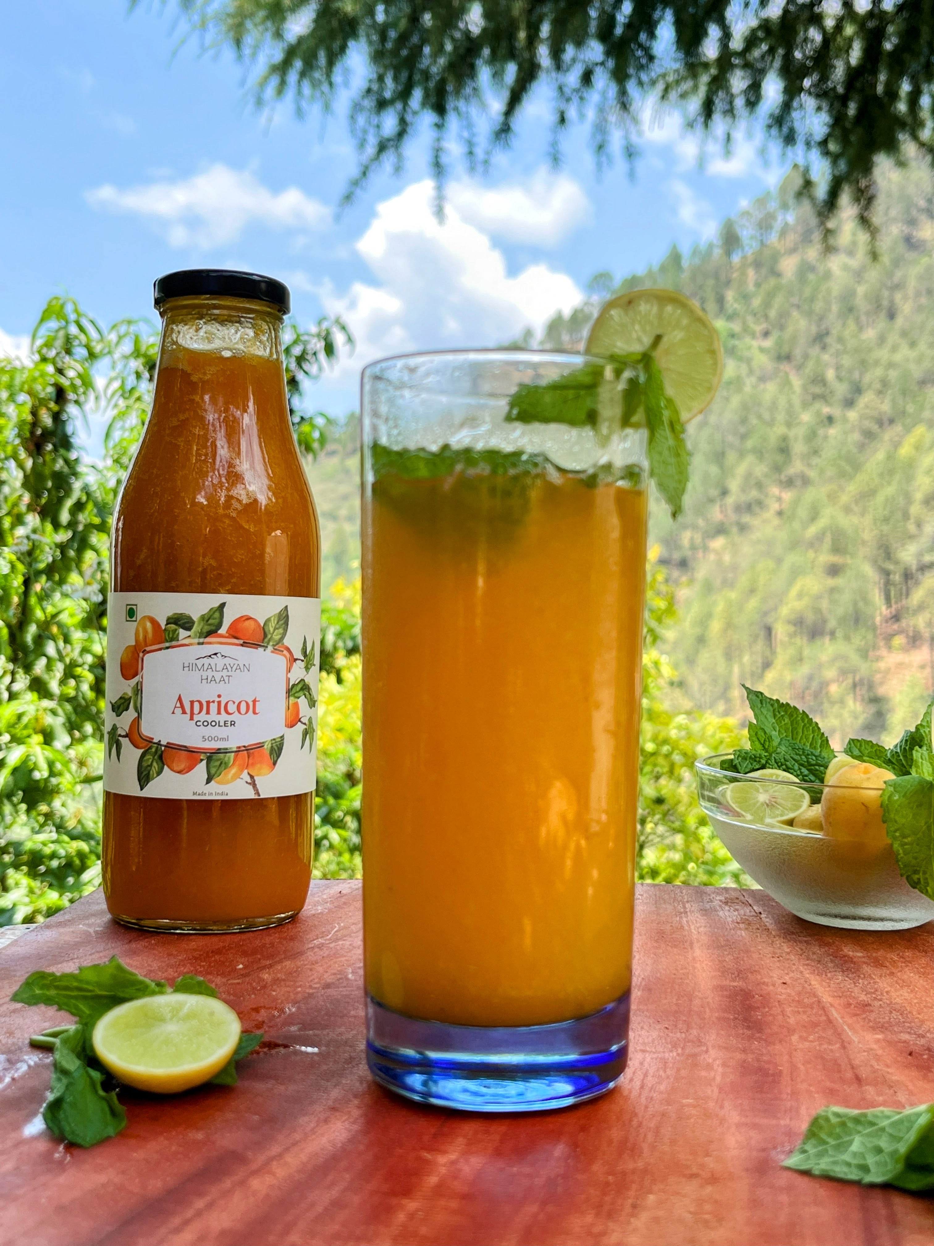 Choose from 5 Summer Coolers (Pack of 2 - 500ml each) | Himalayan Haat