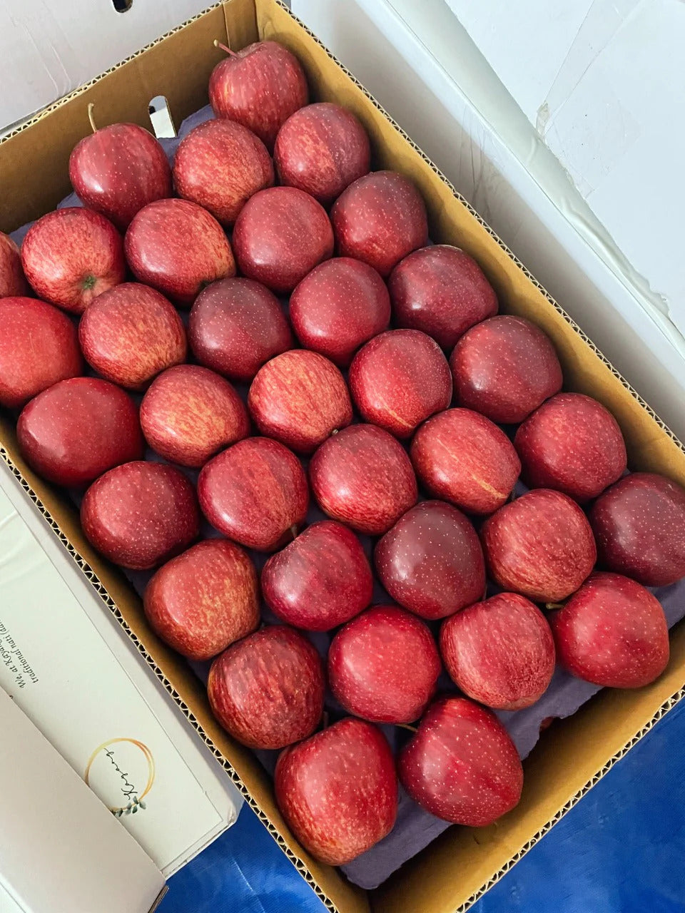 Kinnaur apples