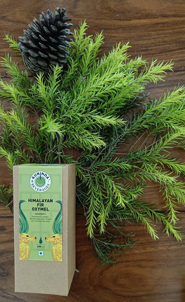 Kuninda Himalayan Cypress Oxymel 