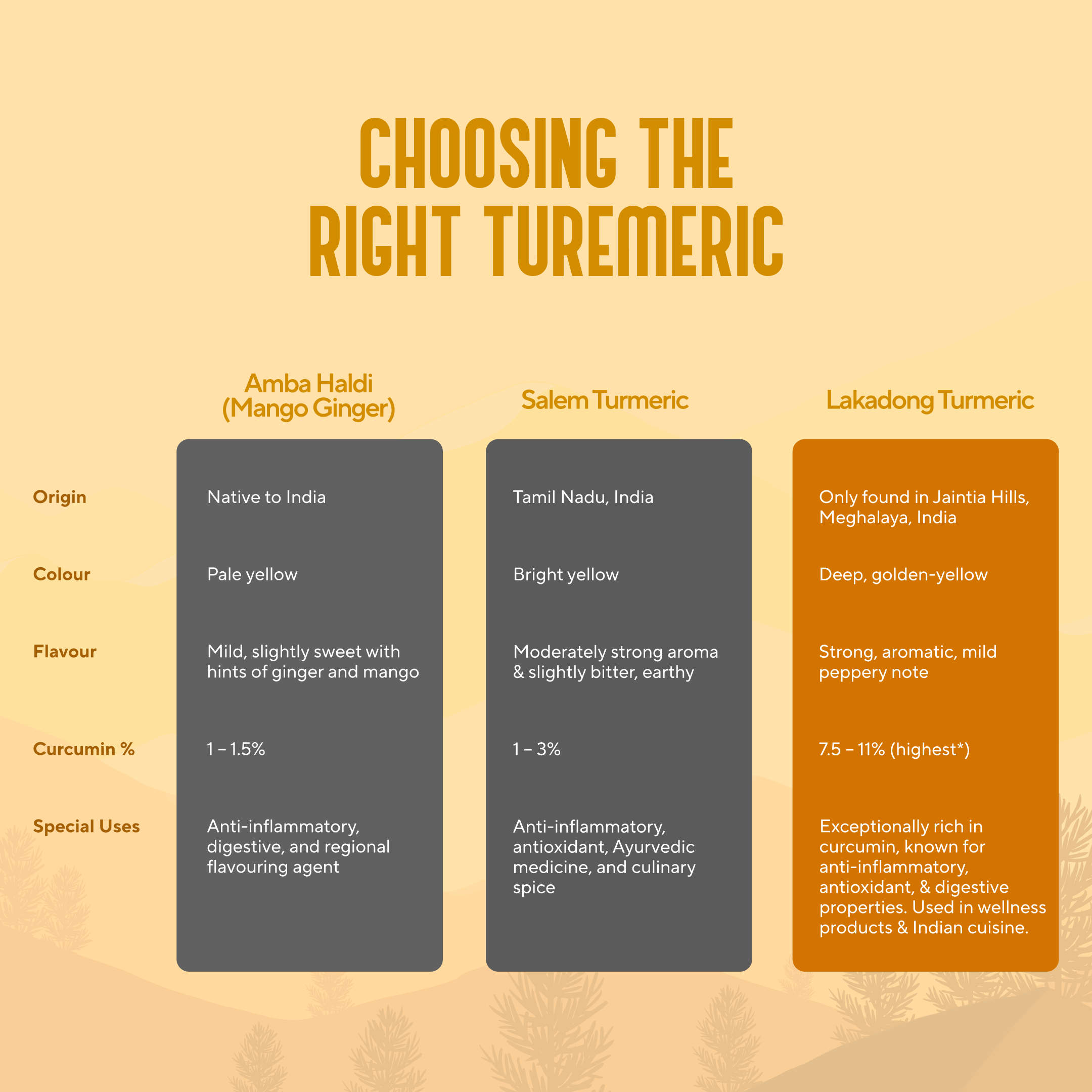 Lakadong Turmeric 8 – 10% Curcumin) - 100gms | My Pahadi Dukan
