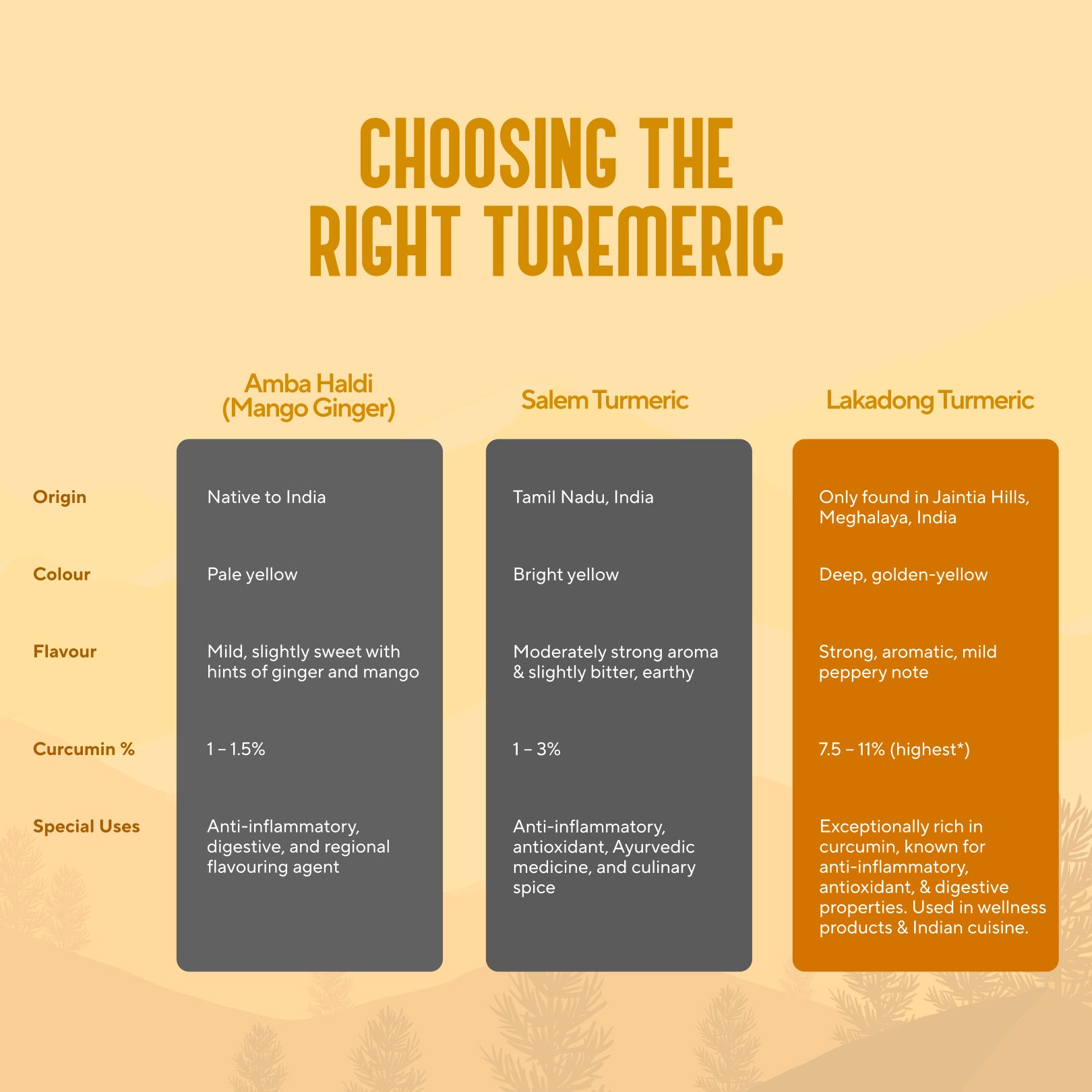 Lakadong Turmeric (8 – 10% Curcumin) | My Pahadi Dukan