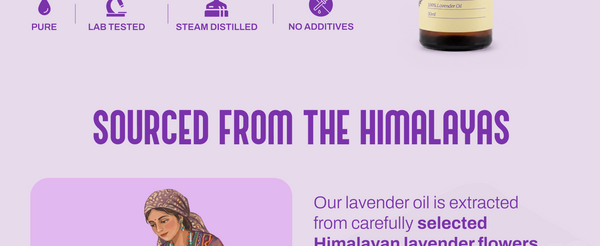 Lavender Oil | My Pahadi Dukan