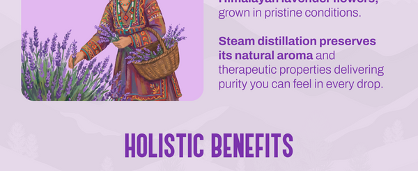 Lavender Oil | My Pahadi Dukan