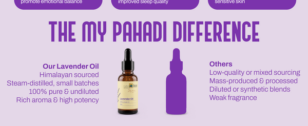 Lavender Oil | My Pahadi Dukan