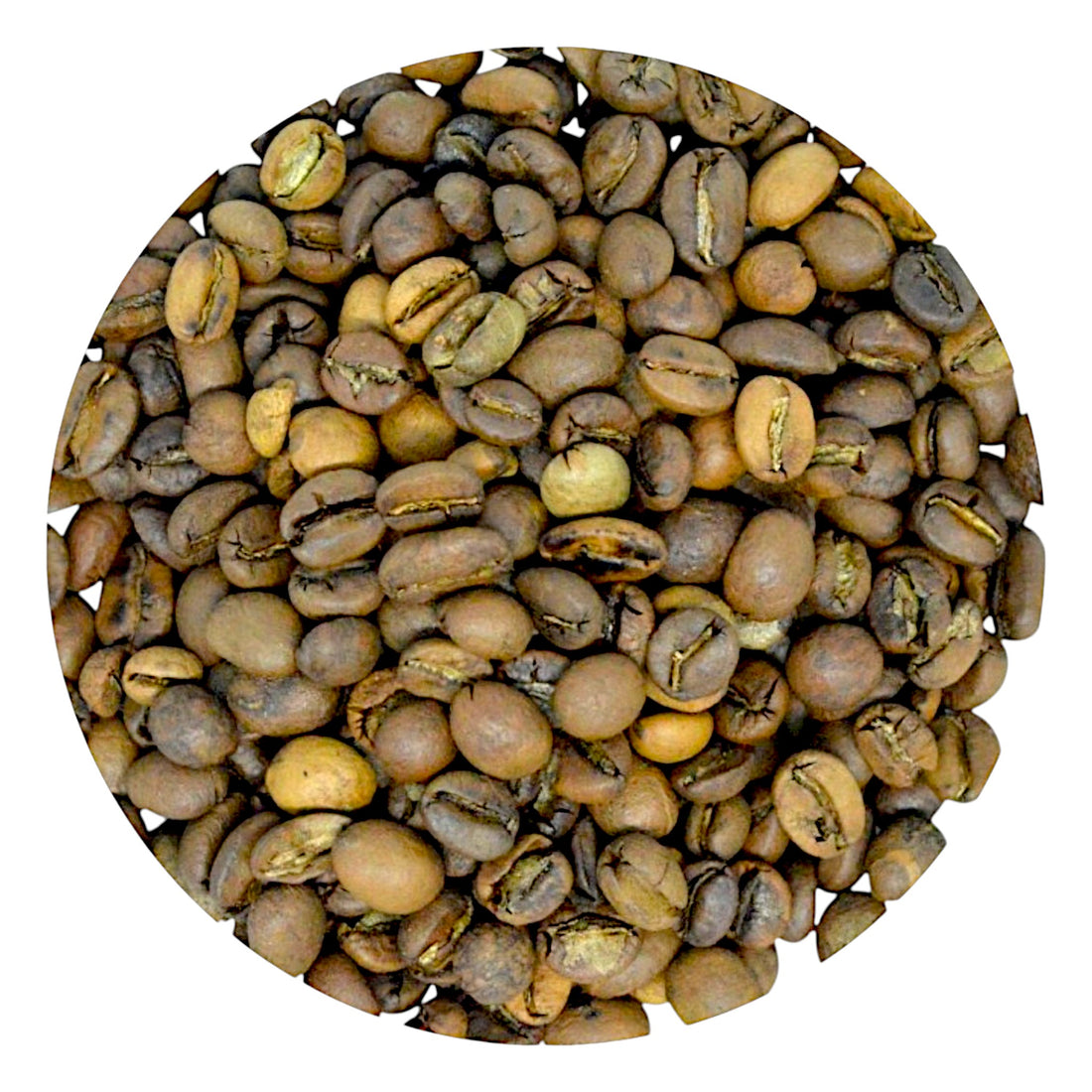 Himalayan Specialty Coffee – Light Roast (250 g) | Saakya