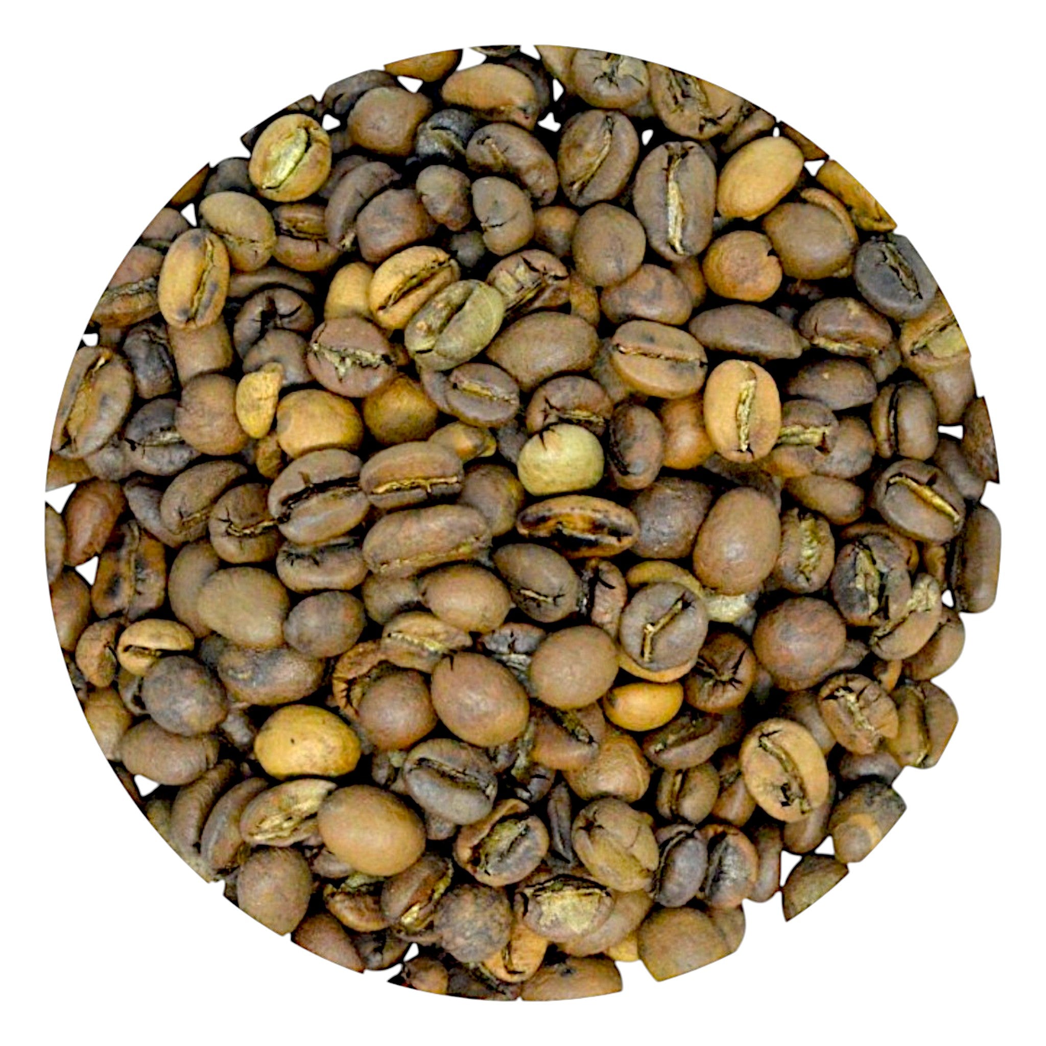 Himalayan Specialty Coffee – Light Roast (250 g) | Saakya