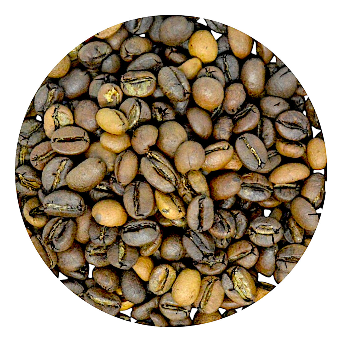 Himalayan Specialty Coffee – Medium Roast (250 g) | Saakya