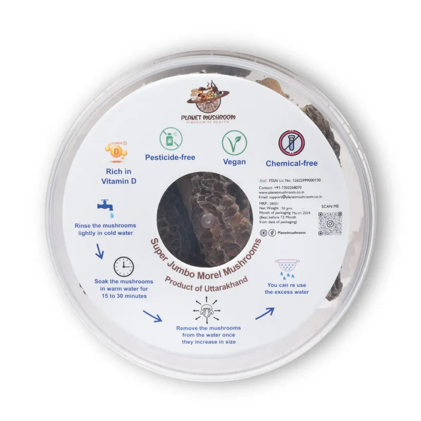 Premium Grade Jumbo Gucchi Mushroom