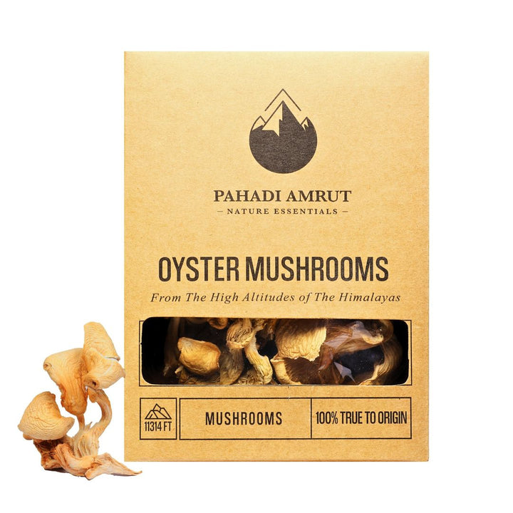 Buy Oyster Mushrooms Online | Golden Dhingri Mushroom Price