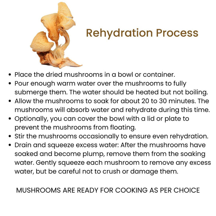 Oyster Mushrooms | Golden Dhingri Mushroom | Rehydration Process
