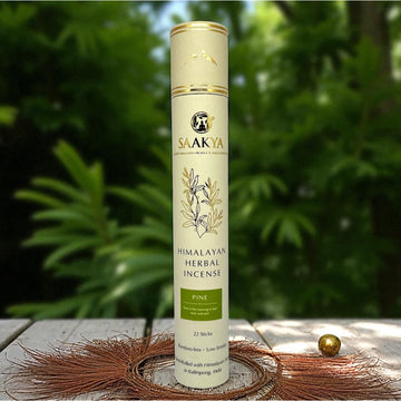 Bamboo-less Pine Incense Sticks | Saakya