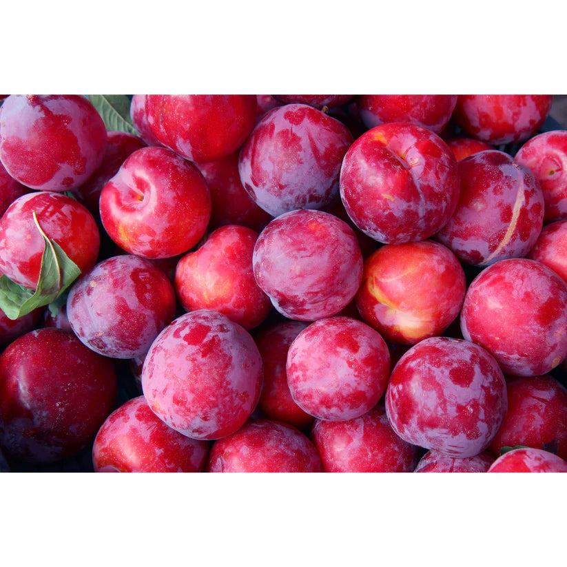 Plum Chutney 350g | Big Bear Farms