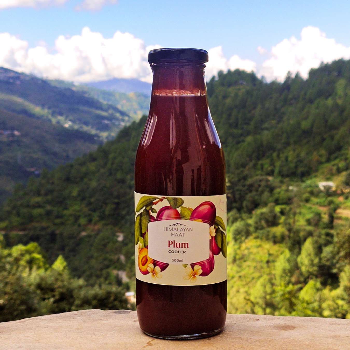 Choose from 5 Summer Coolers (Pack of 2 - 500ml each) | Himalayan Haat