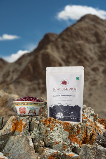 Premium Red Kidney Beans (Ladakhi Rajma) | All Natural & Chemical-Free