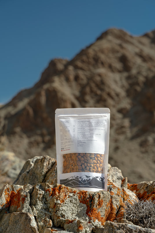 Premium Apricot Kernels | Ladakh Orchards