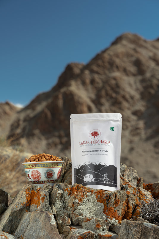 Premium Apricot Kernels | Ladakh Orchards
