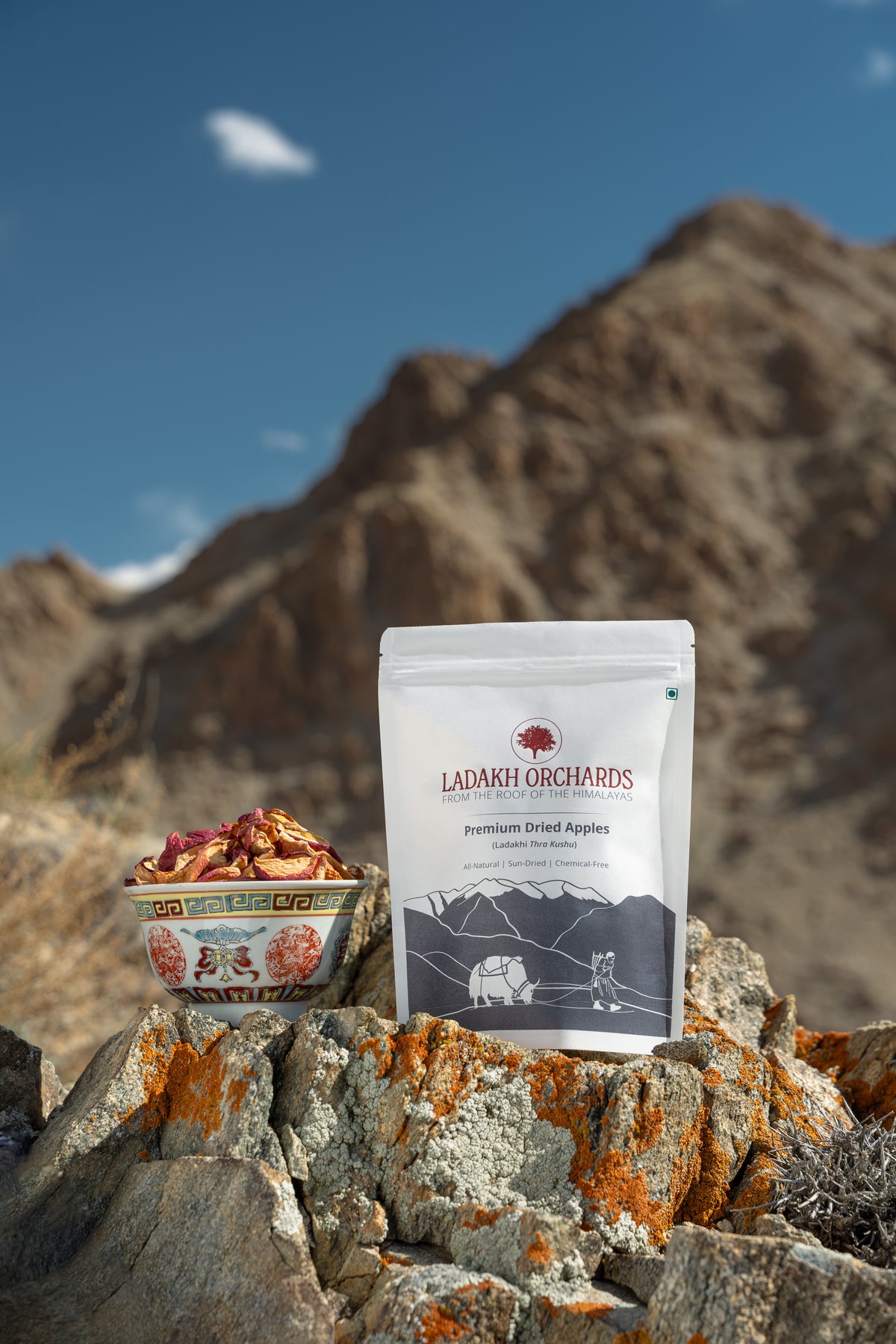 Premium Dried Apples 100gms | Ladakh Orchards