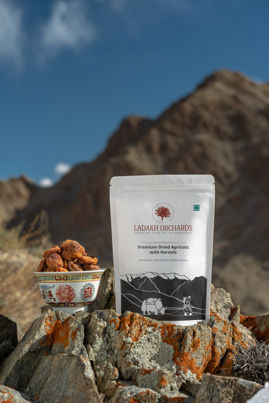 Premium Dried Apricots with Kernels - 500g | Ladakh Orchards