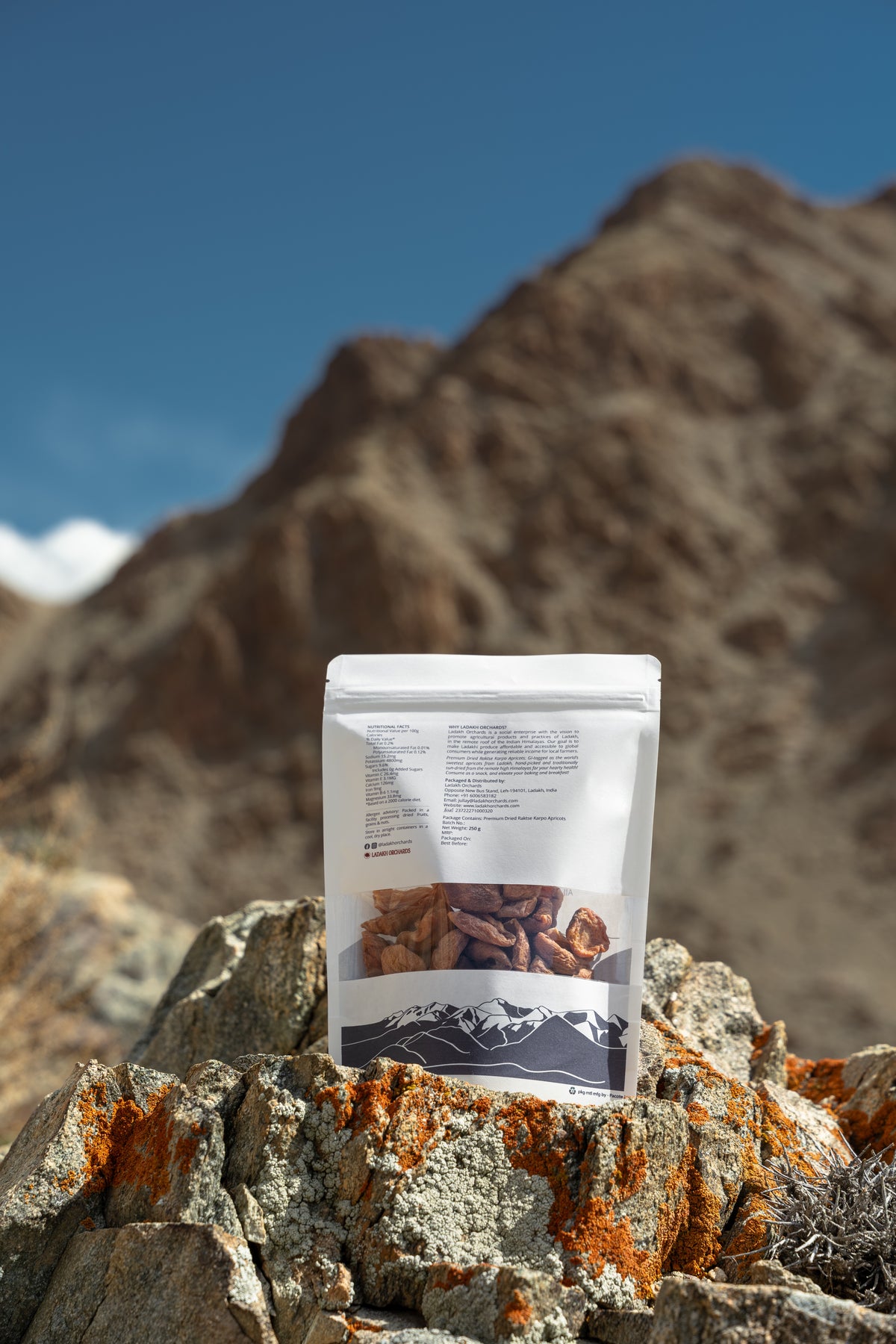 Premium Dried Raktse Karpo Apricots (Pitted and without kernels) 250gms (World’s Sweetest Apricots)| Ladakh Orchards
