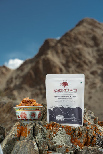 Premium Dried Raktse Karpo Apricots (Pitted and without kernels) 250gms (World’s Sweetest Apricots)| Ladakh Orchards