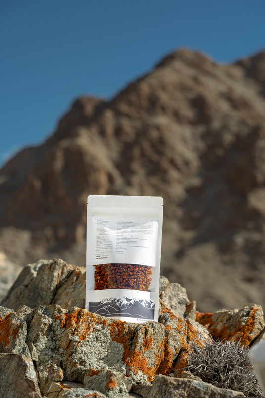 Premium Dried SeaBuckthorn Berries 100gms | Ladakh Orchards