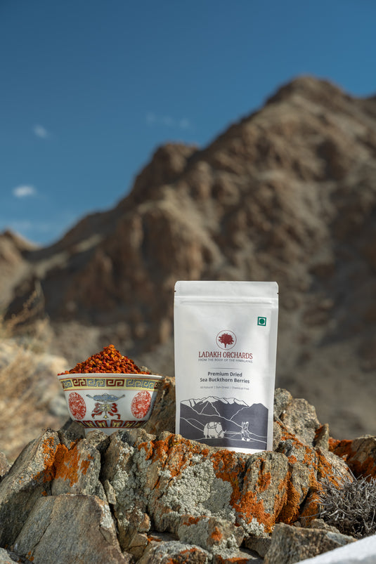 Premium Dried SeaBuckthorn Berries 100gms | Ladakh Orchards
