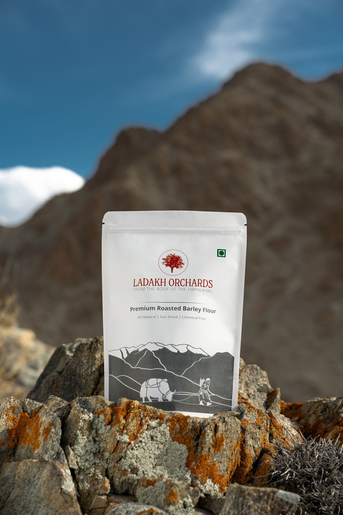 Premium Roasted Barley Flour | Water-milled & Chemical-Free - 500g | Ladakh Orchards