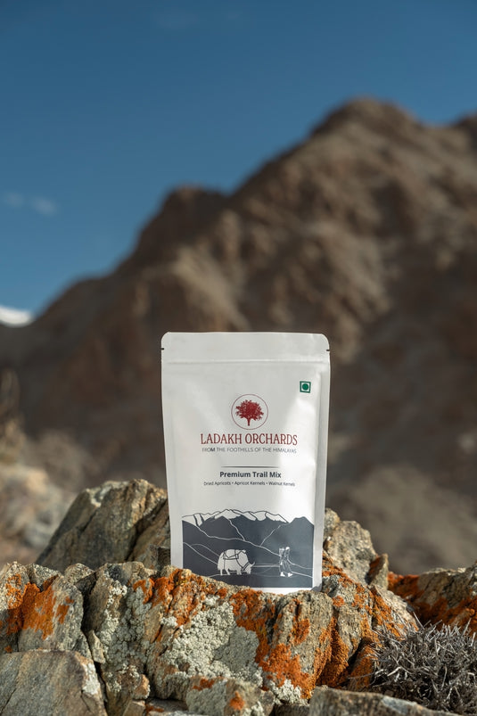 Premium Trail Mix 250gms | Ladakh Orchards