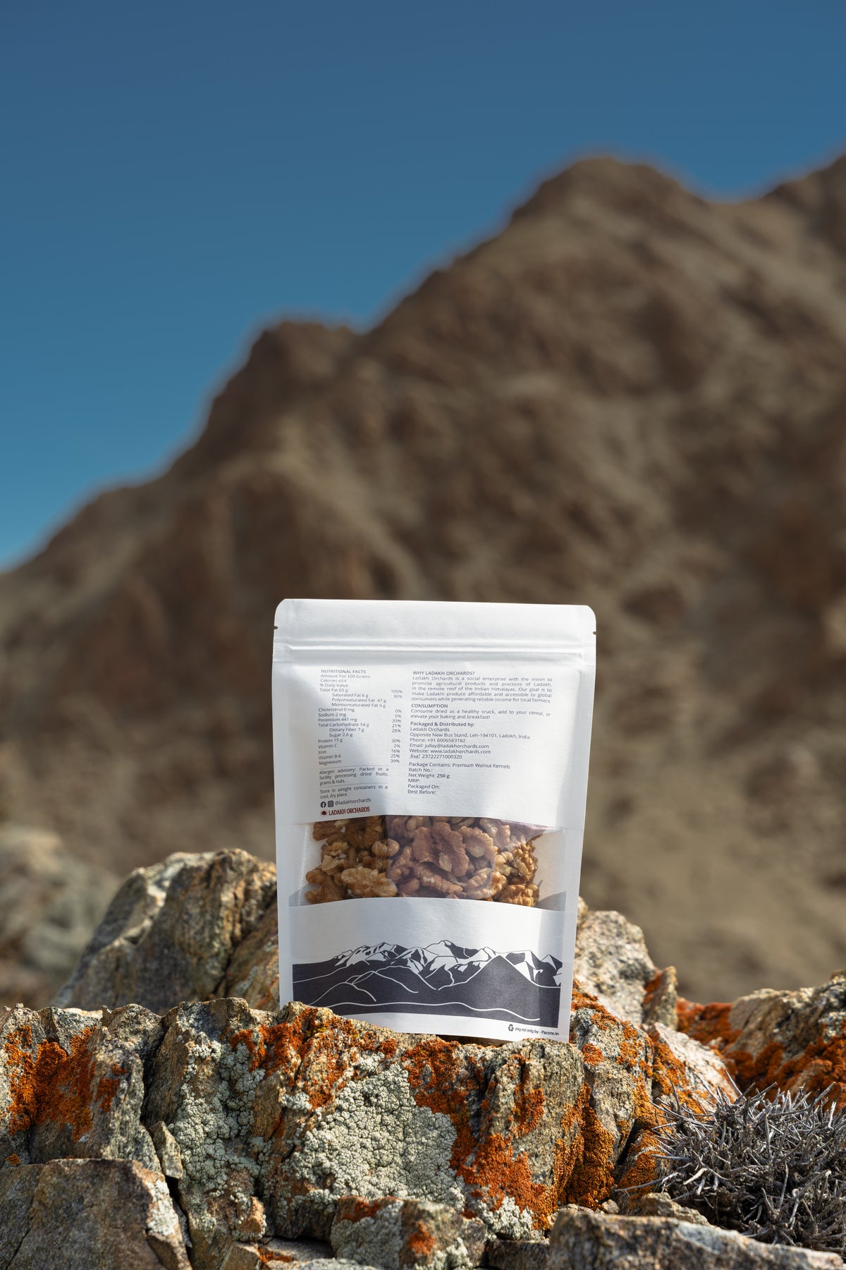 Premium Ladakhi Walnut Kernels | Ladakh Orchards