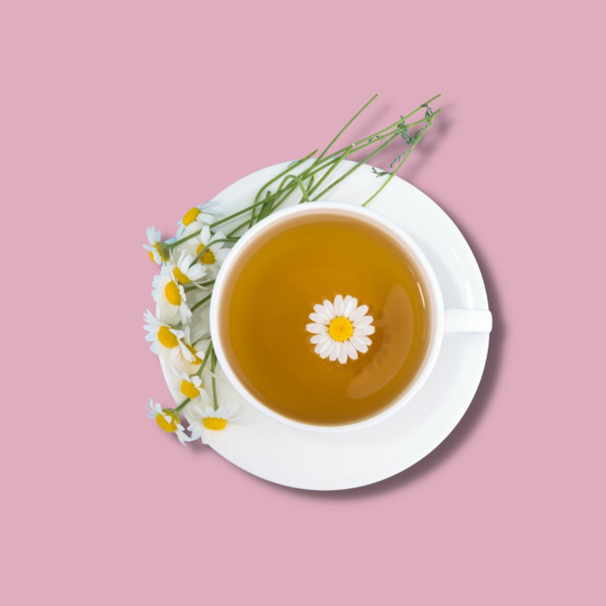 Himalayan Pure Chamomile - 30gms | Pahari Haat
