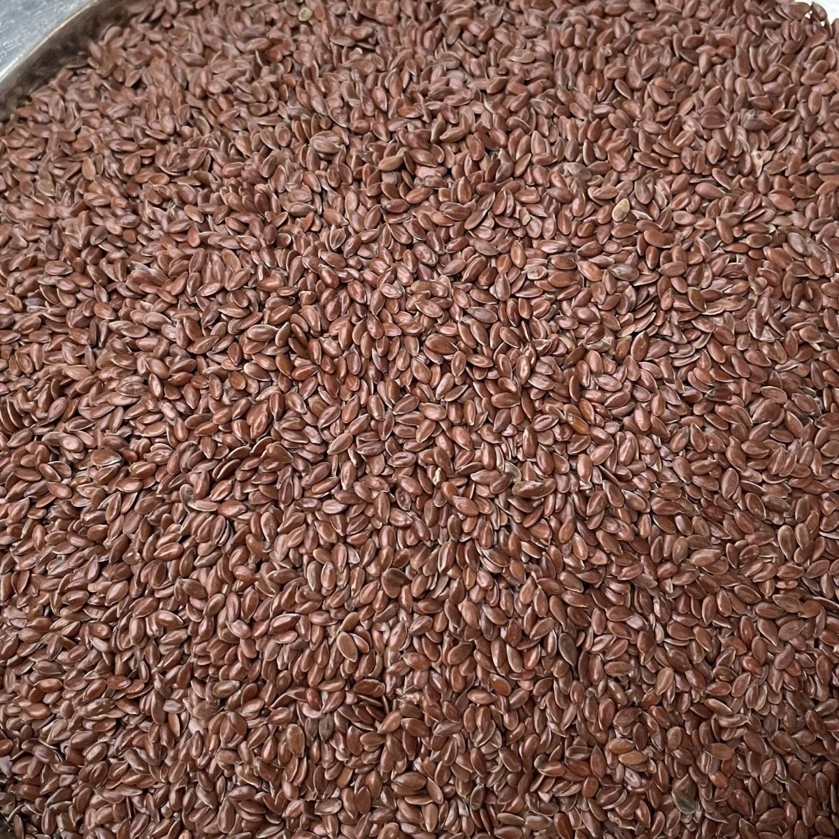 Raw Flax Seeds for fibre