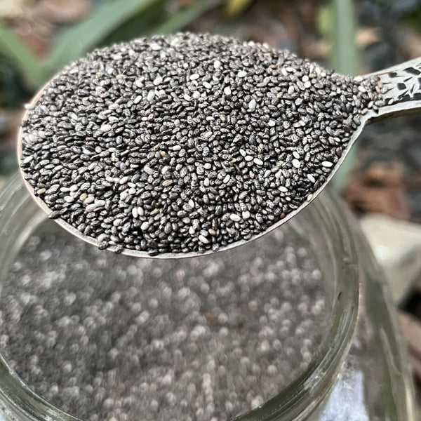 Raw Chia Seeds for fiber